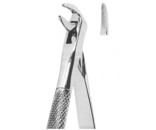 Extracting Forceps English pattern